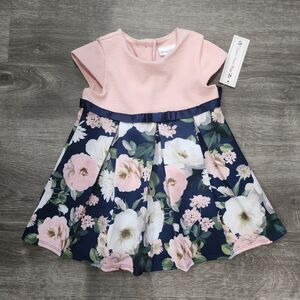 Sweet Heart Rose Floral & Pink Dress Girls 24 Months